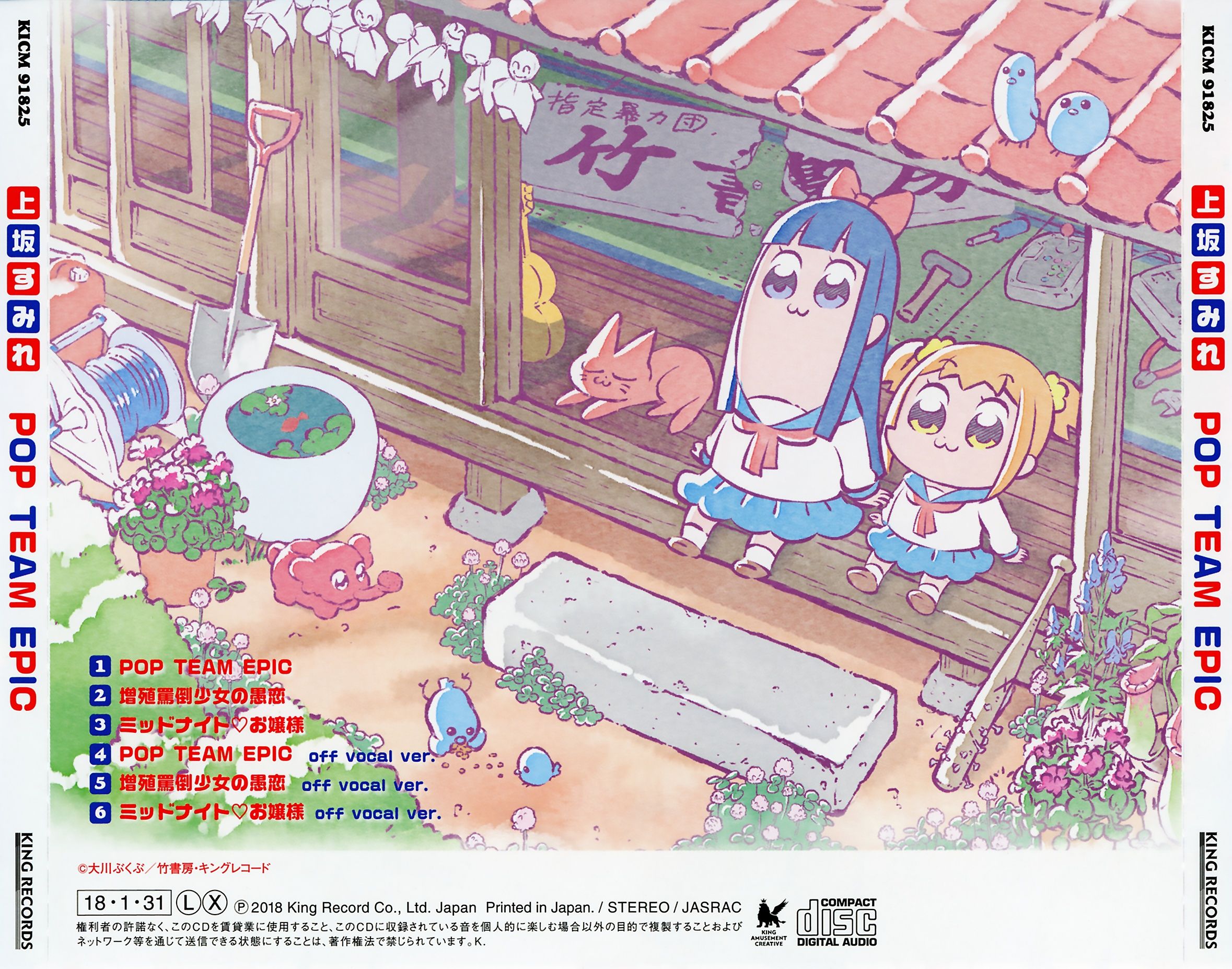 Case Cover Back Outer.jpg